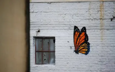 Bye Bye Butterflies
